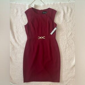 Chelsea Rose Wine Red Cap Sleeve Business Dress, zip back, size 6 NWT